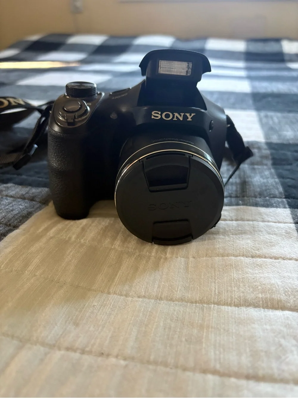 Sony Black Bridge Camera with LCD Display